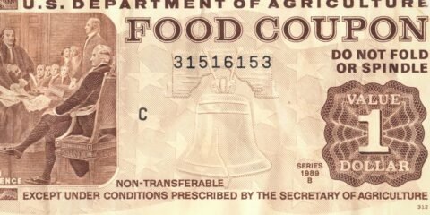 Food Stamps in the USA