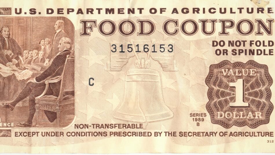 Food Stamps in the USA